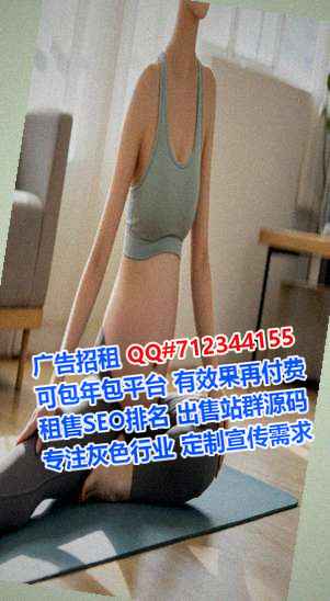 安居孕母汽车销售公司